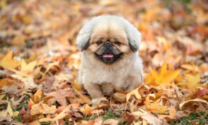 ニコチンガムの使用量の目安はどのくらい？