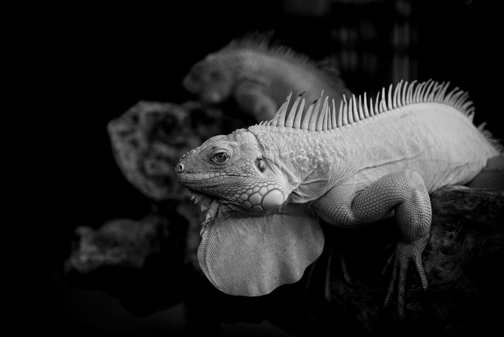 チャンピックスの処方を受ける際の医療機関の選び方は？