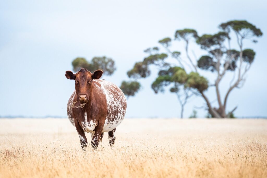 妊娠中の旦那がタバコをやめない時の対処法は？