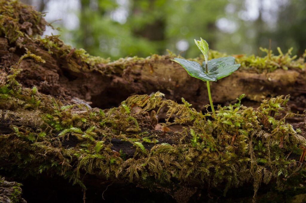 禁煙による若返り効果はいつ出るのか？