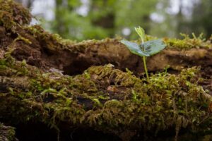 禁煙による若返り効果はいつ出るのか？