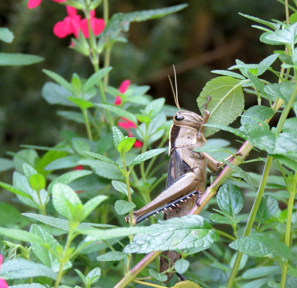 禁煙中に食べ過ぎを抑えるためのコツは？
