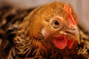 禁煙の飲み会に誘われたらどうすればいい？