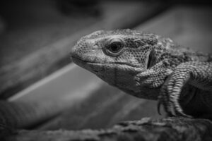 禁煙をリセットするタイミングはいつがベスト？