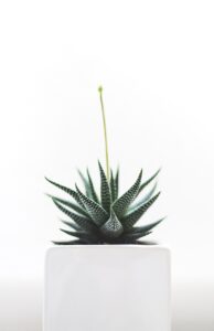 禁煙補助薬を外出先で使いやすくするためのポイントは？